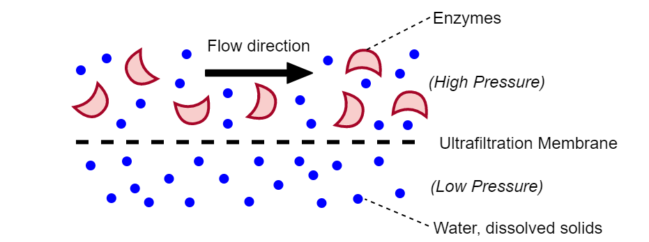 Removing water from the resulting filtrate