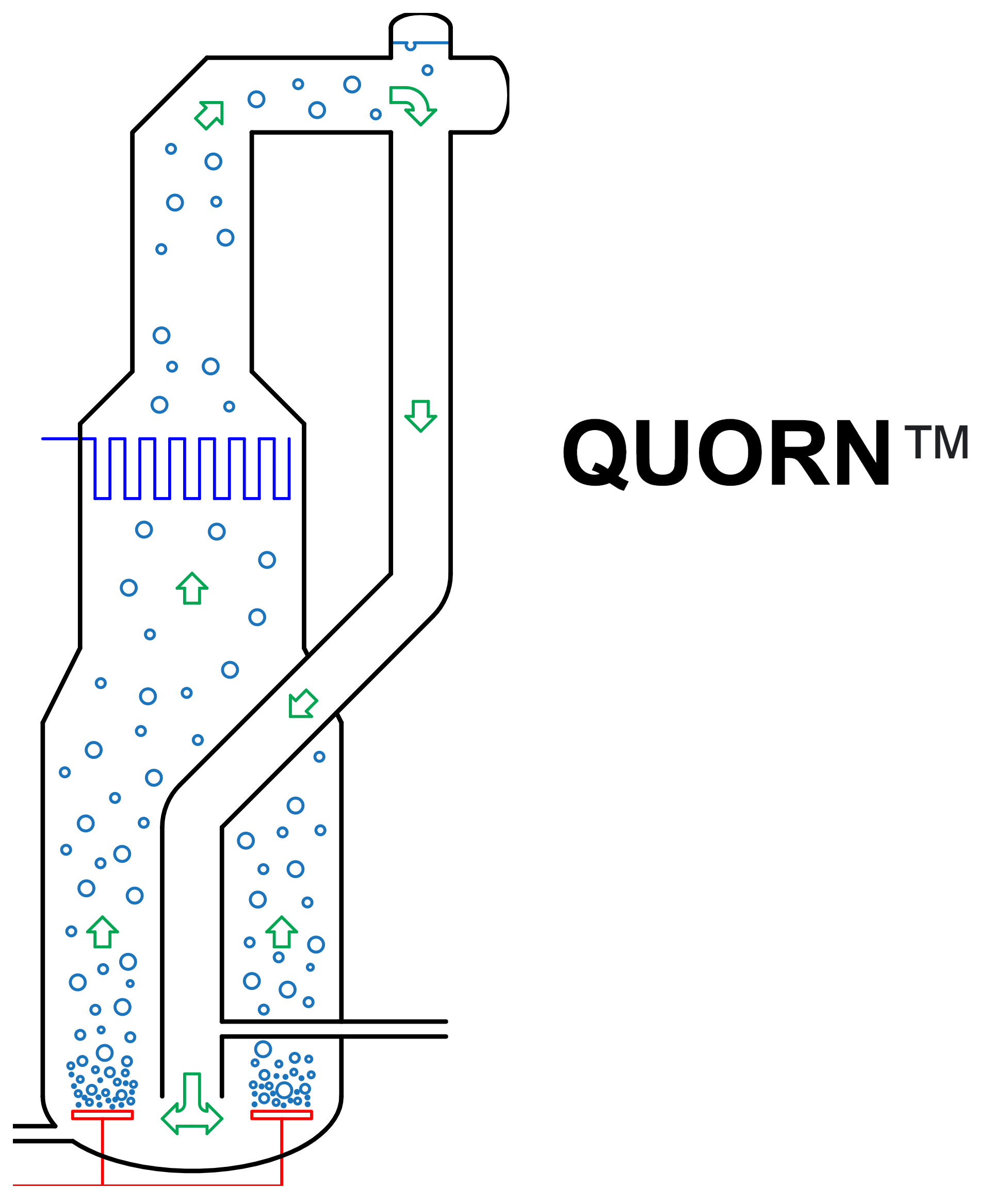 Quorn™: a story about Single Cell Protein