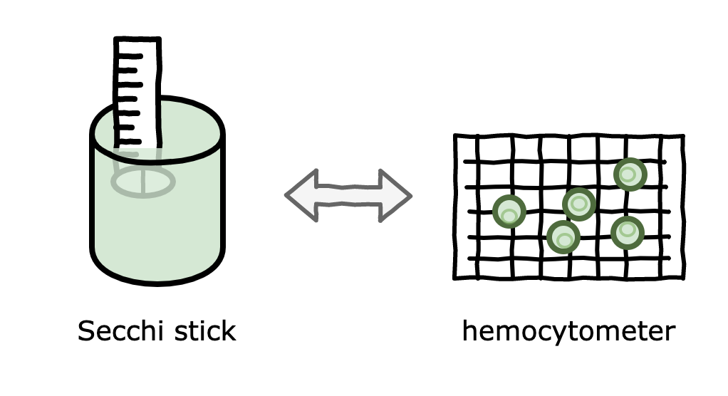 Measuring cell density using a Secchi stick (and lots of math)