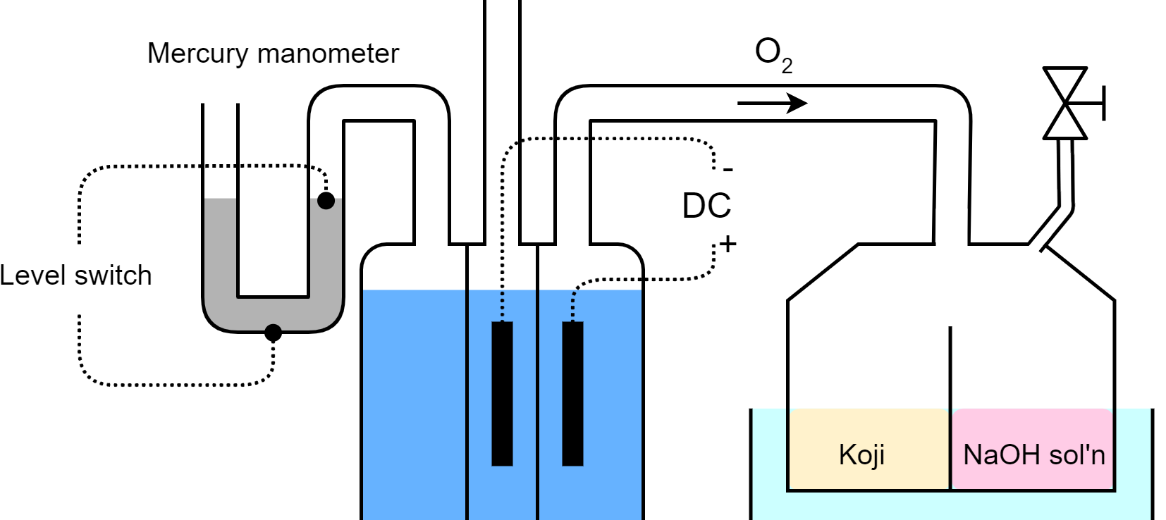 Temperature, water content, and polishing effects on koji